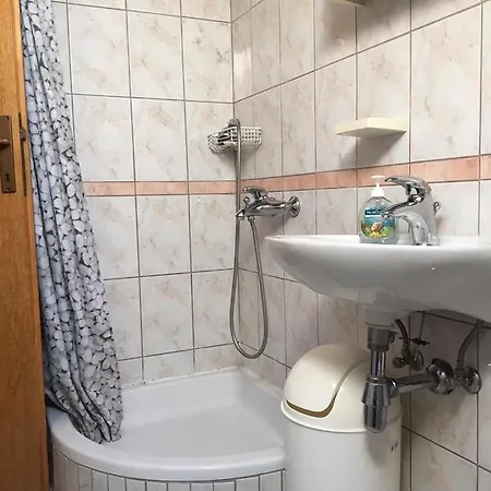 Dimitrijevic Apartman *