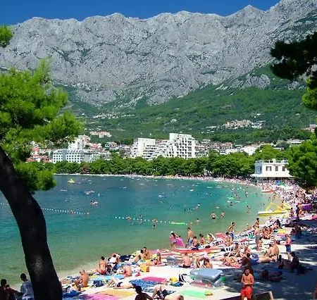 公寓 Dimitrijevic *