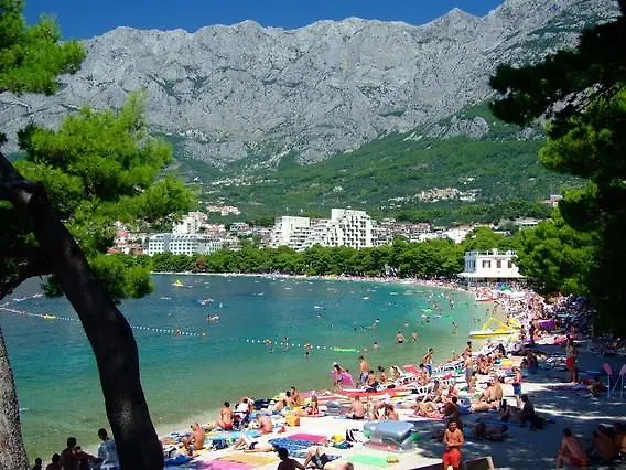 Apartament Dimitrijevic *